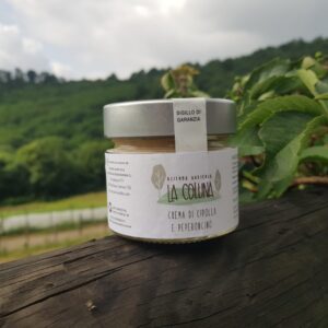 Crema di cipolla e peperoncino